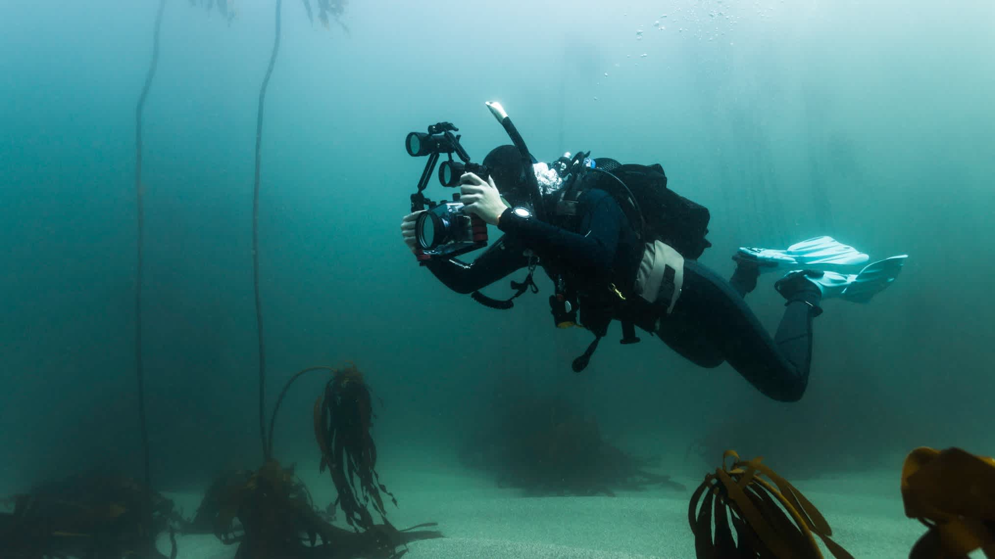 Un plongeur prend des photos avec un appareil compact