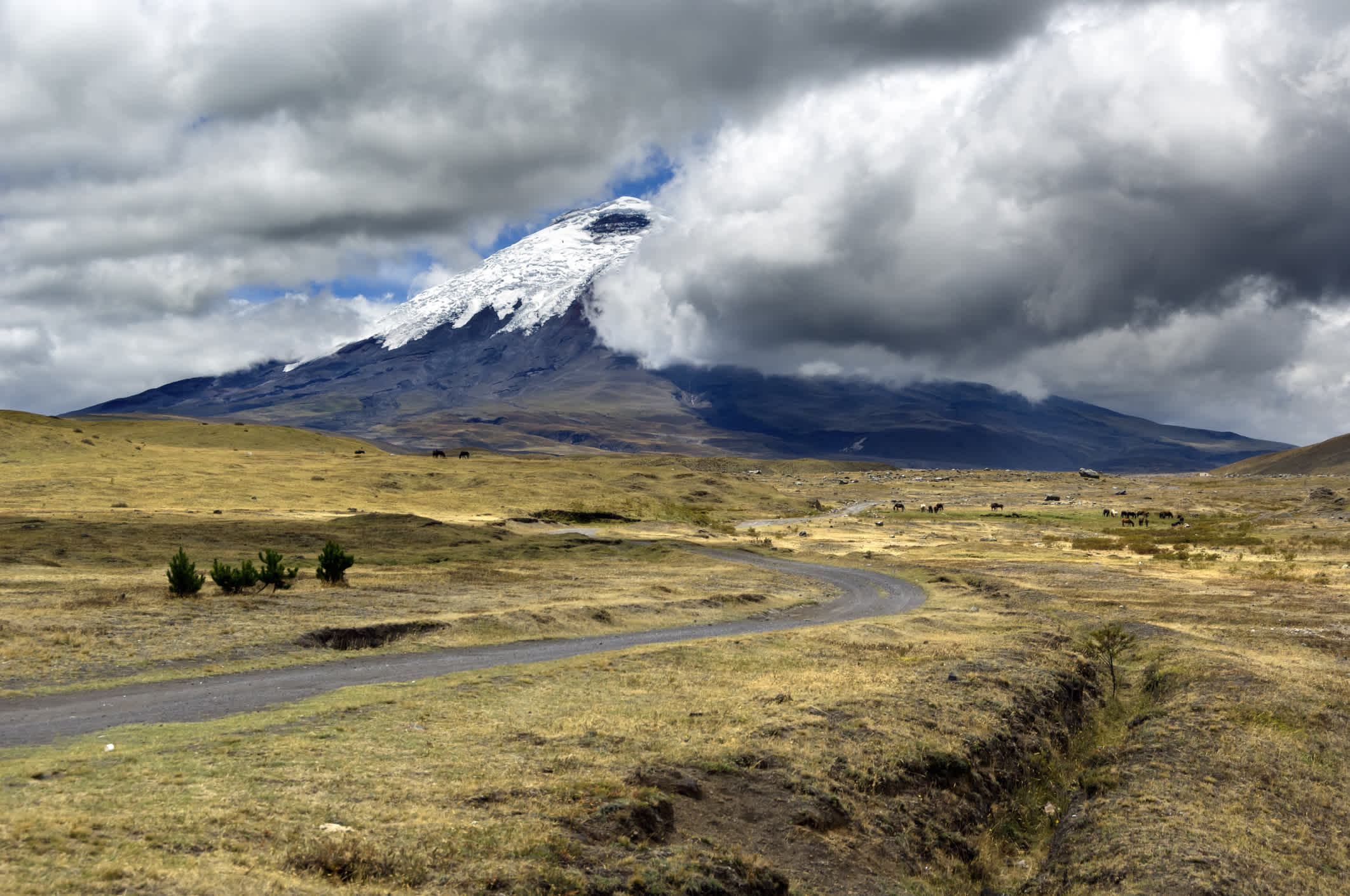 Straße im "Parque Nacional Cotopaxi" mit dem Vulkan im Hintergrund.