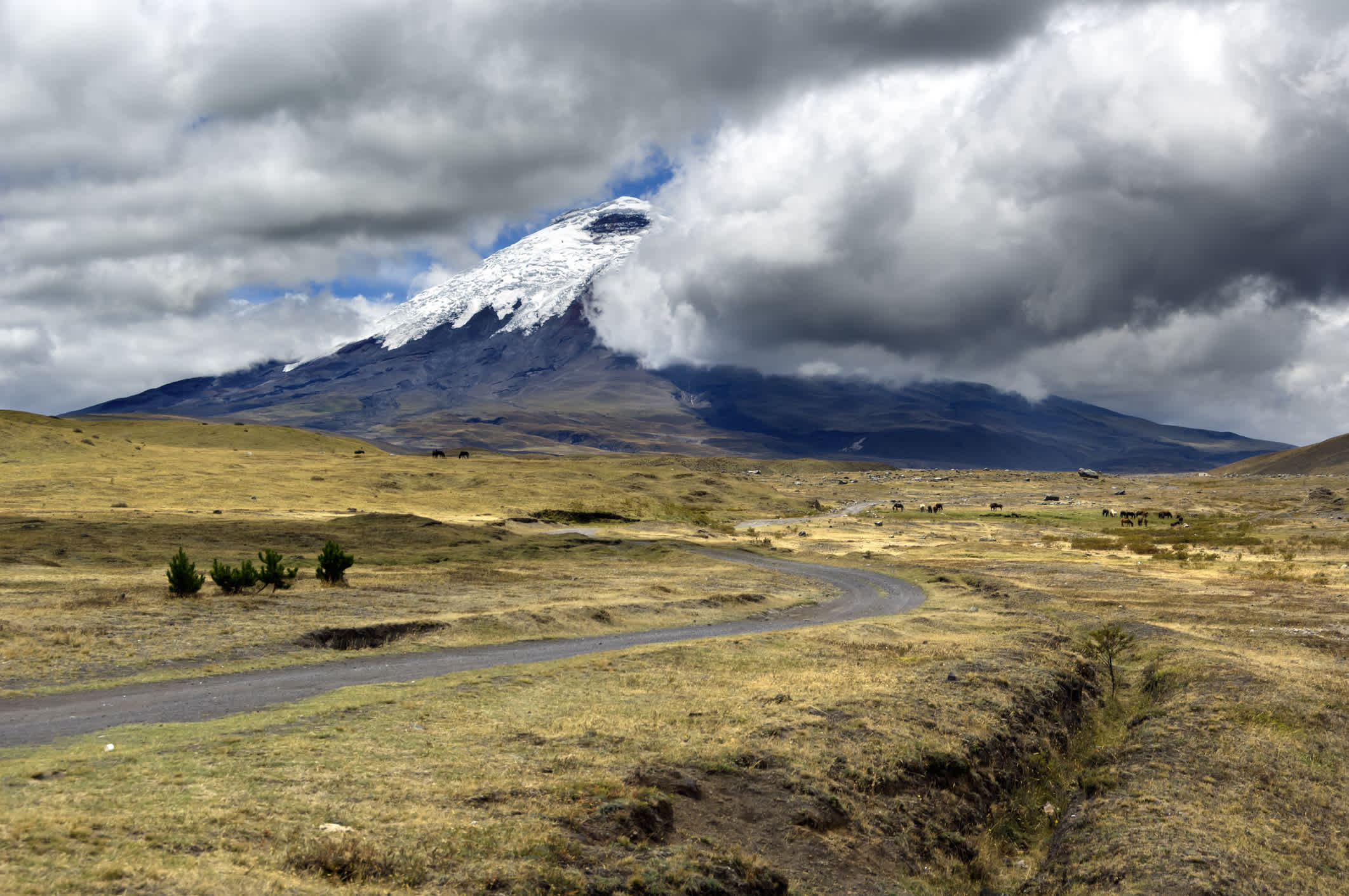 Route avec le volcan en arrière-plan, dans le parc national de Cotopaxi, en Équateur.