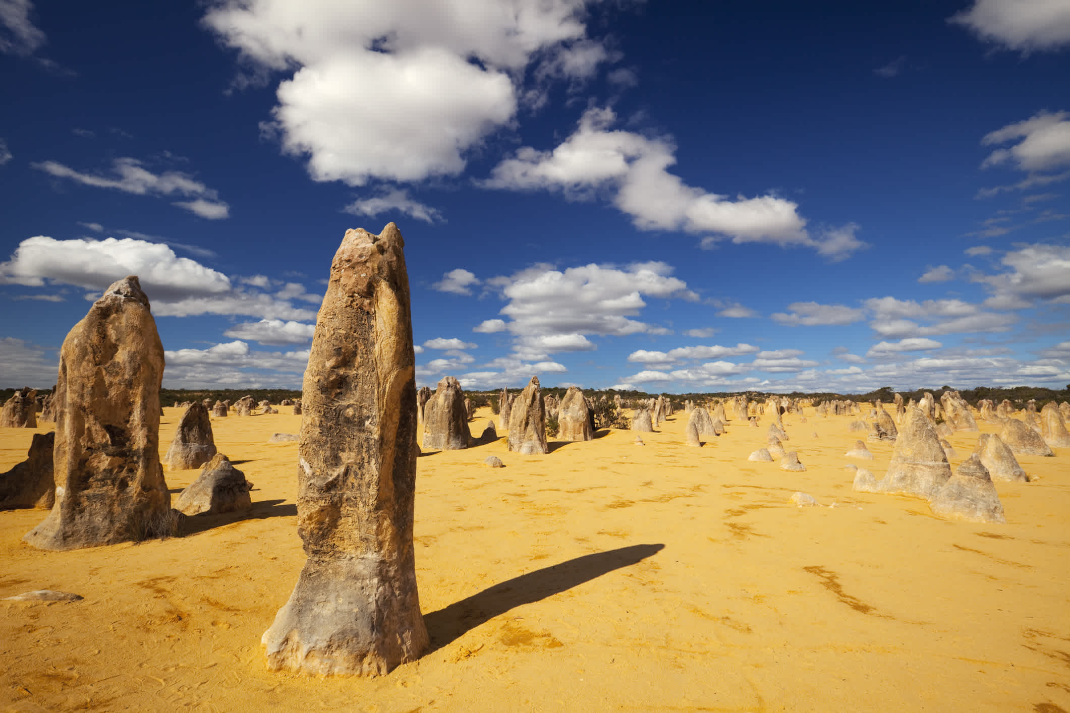 Le désert des Pinnacles dans le parc national de Nambung, Australie occidentale