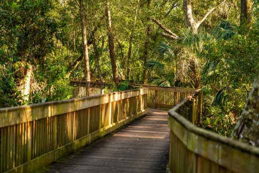 Image d'un pont en bois dans le Sawgrass Recreation Park