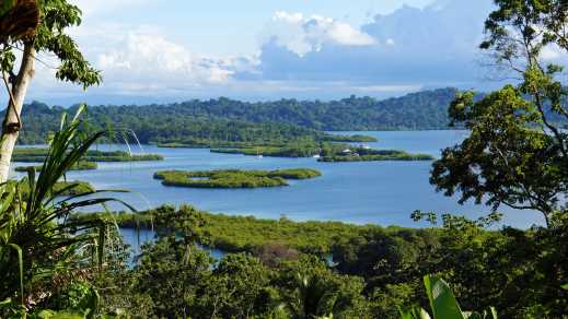 Vue sur un paysage insulaire dans la province de Bocas del Toro au Panama