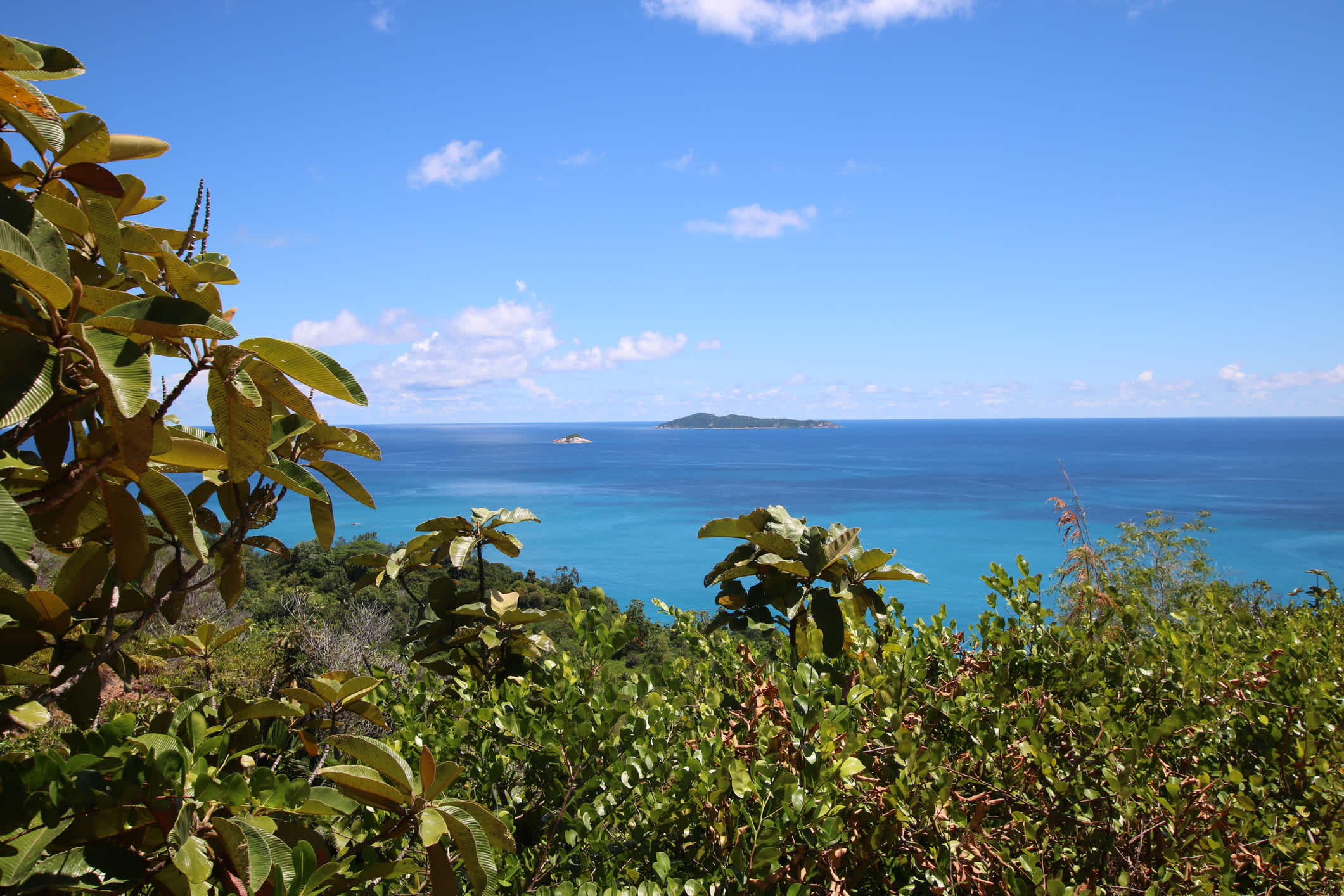 Blick auf das Aride Isalnd, Praslin, Seychellen
