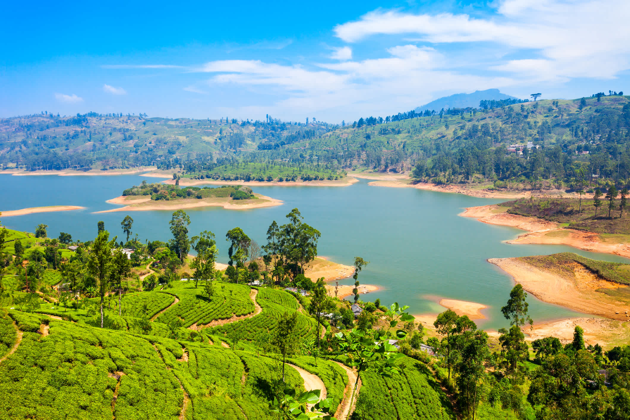 Vue aérienne des plantations de thé et du lac Maskeliya Dam près de Nuwara Eliya au Sri Lanka.
