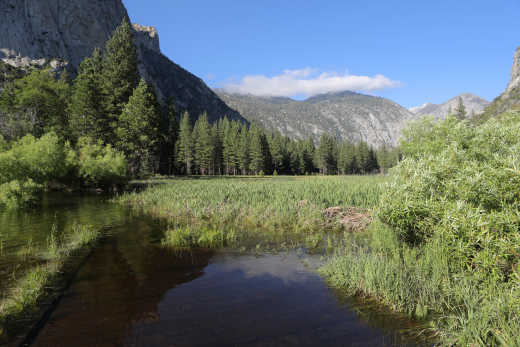 Découvrez la prairie accidentée de Zumwalt Meadow dans le parc national du Kings Canyon.