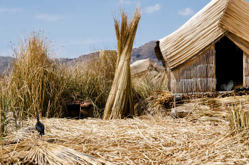 Eine Strohhütte der lokalen Bevölkerung auf der Insel Amantani des Titicacasees