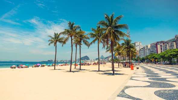 Palmen am Copacabana Beach neben dem Wahrzeichen Mosaik in Rio de Janeiro, Brazil.