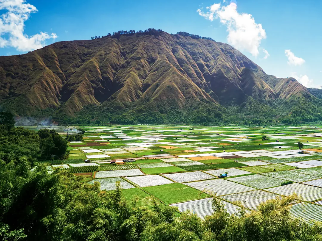 Circuit à Bali, Lombok, et aux îles Gili
