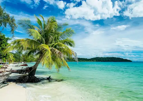 Expérience et séjour incroyable au…