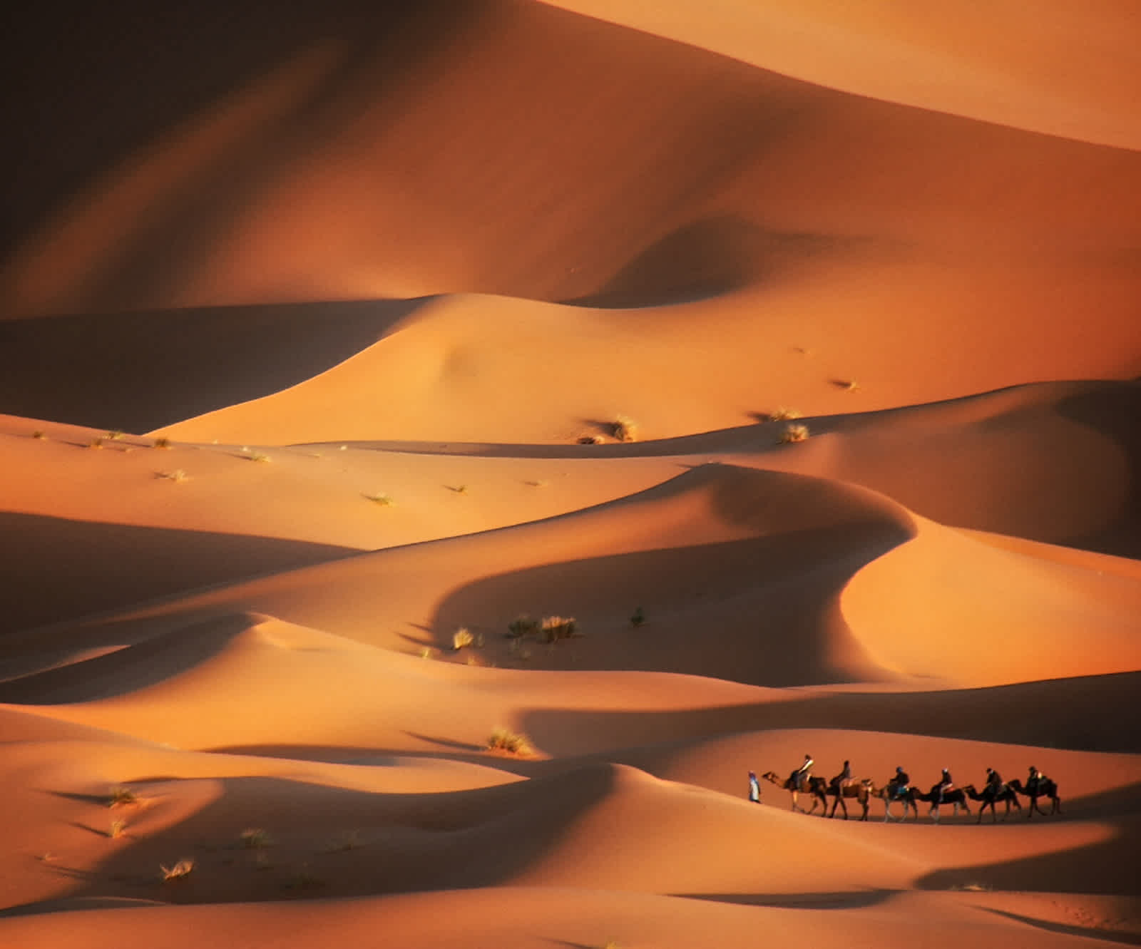 Ausflug in die Merzouga Wüste in Marokko