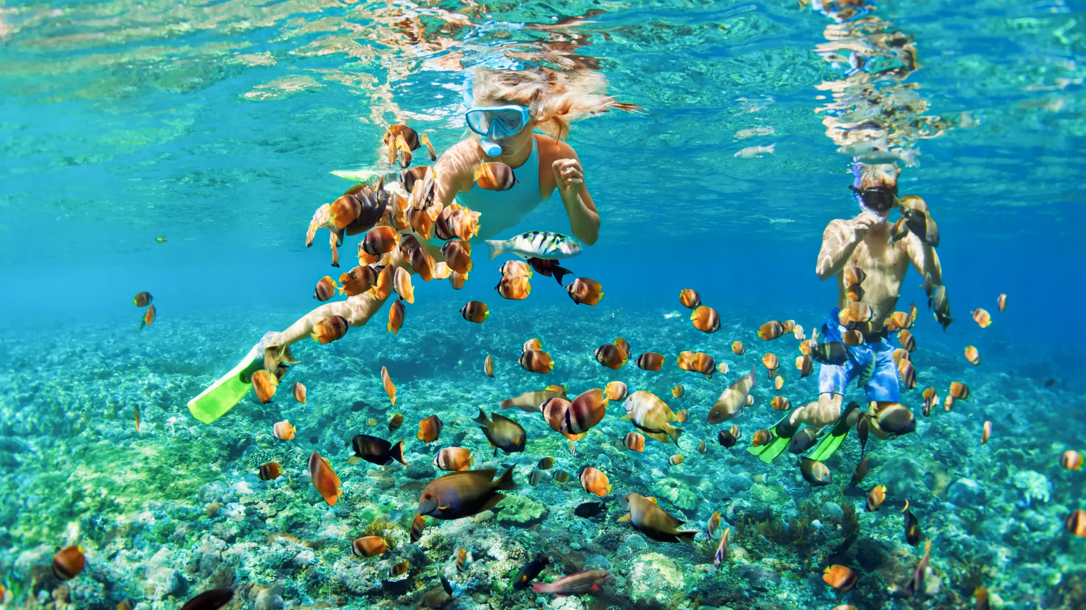 Schnorcheln in klarem Wasser mit bunten tropischen Fischen. Phuket, Thailand.