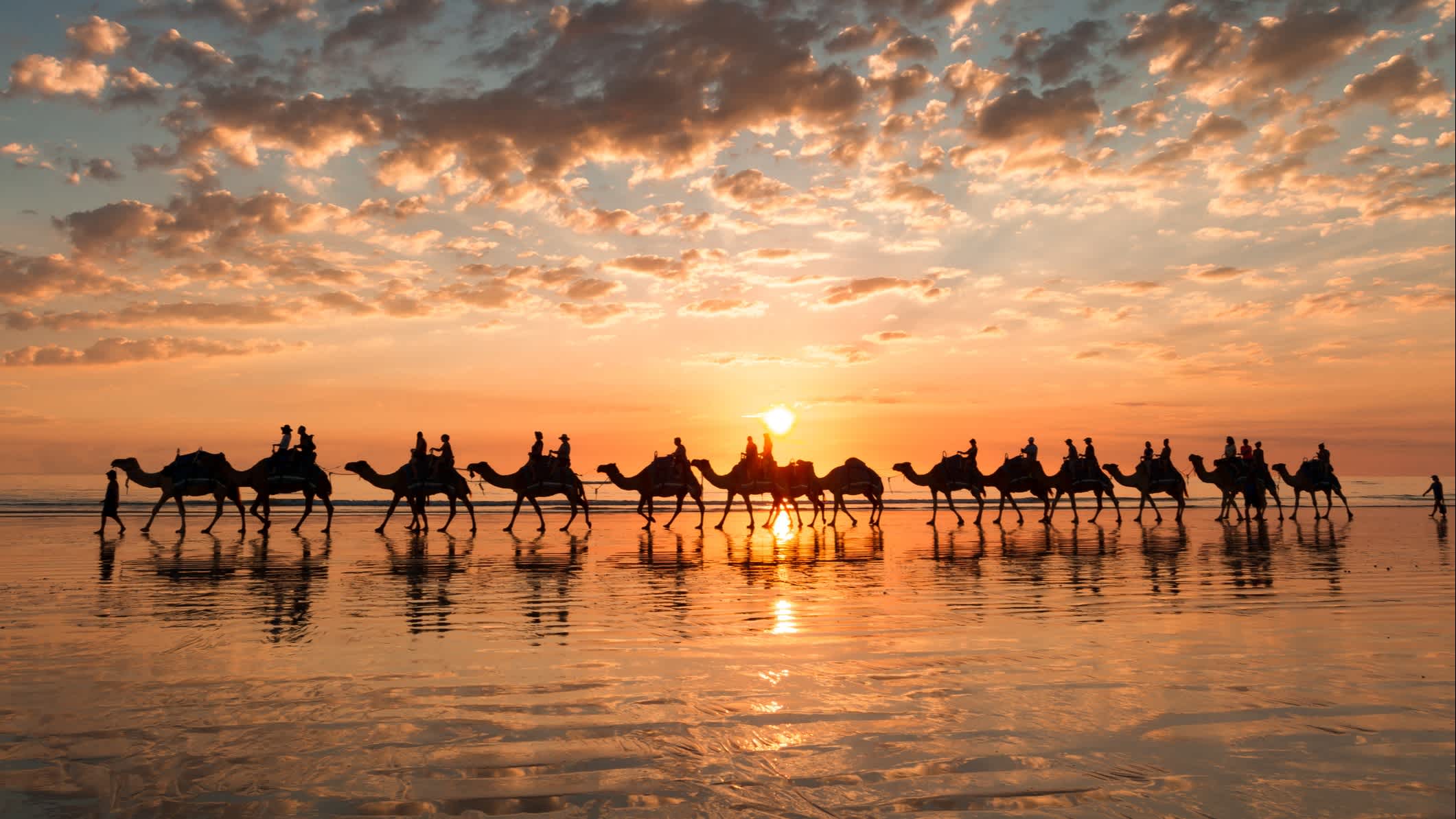 Sonnenuntergang Silhouette der Kamele am Cable Beach, Broome, Westaustralien