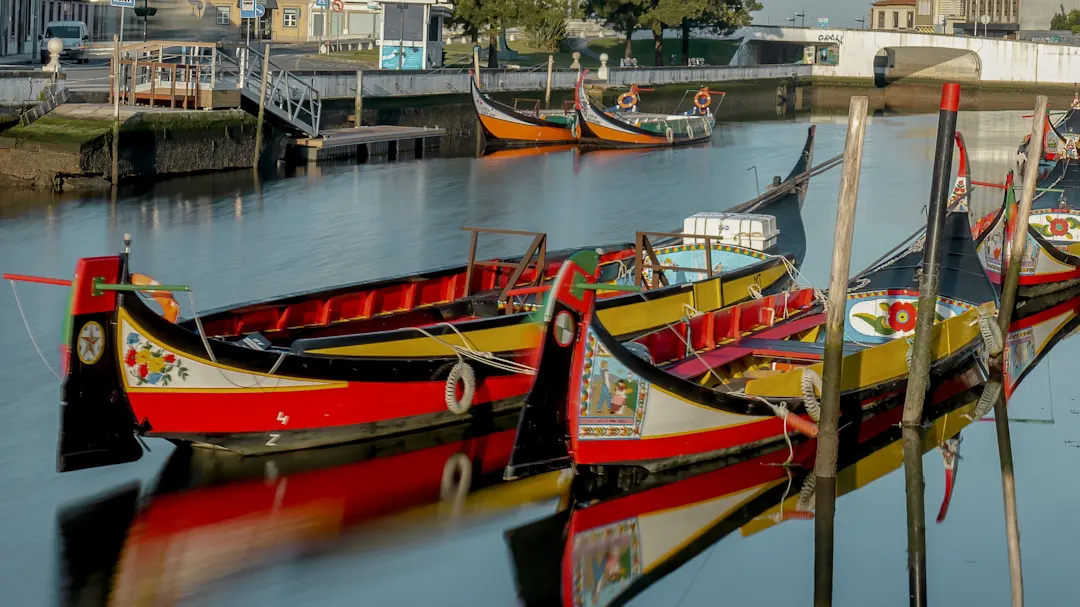 Moliceiro-Boote, Aveiro, Portugal Bunte gondelartige Boote mit gemalten Verzierungen treiben auf einem ruhigen Kanal und spiegeln sich im Wasser. Der Hintergrund zeigt Gebäude, eine Brücke und Grünflächen an einem sonnigen Tag.