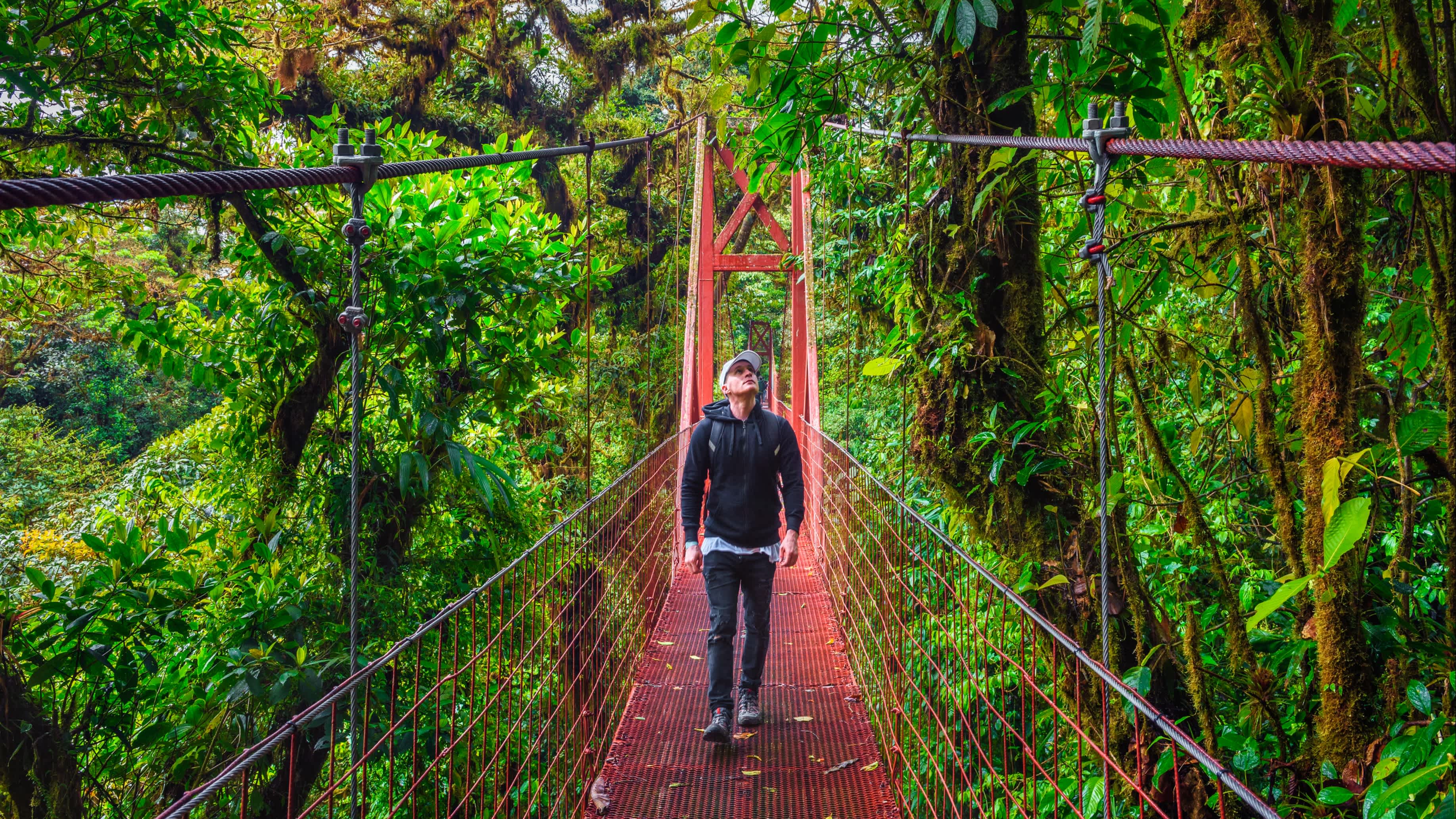 Un randonneur sur un pont suspendu dans la forêt de nuages de Monteverde, Costa Rica.