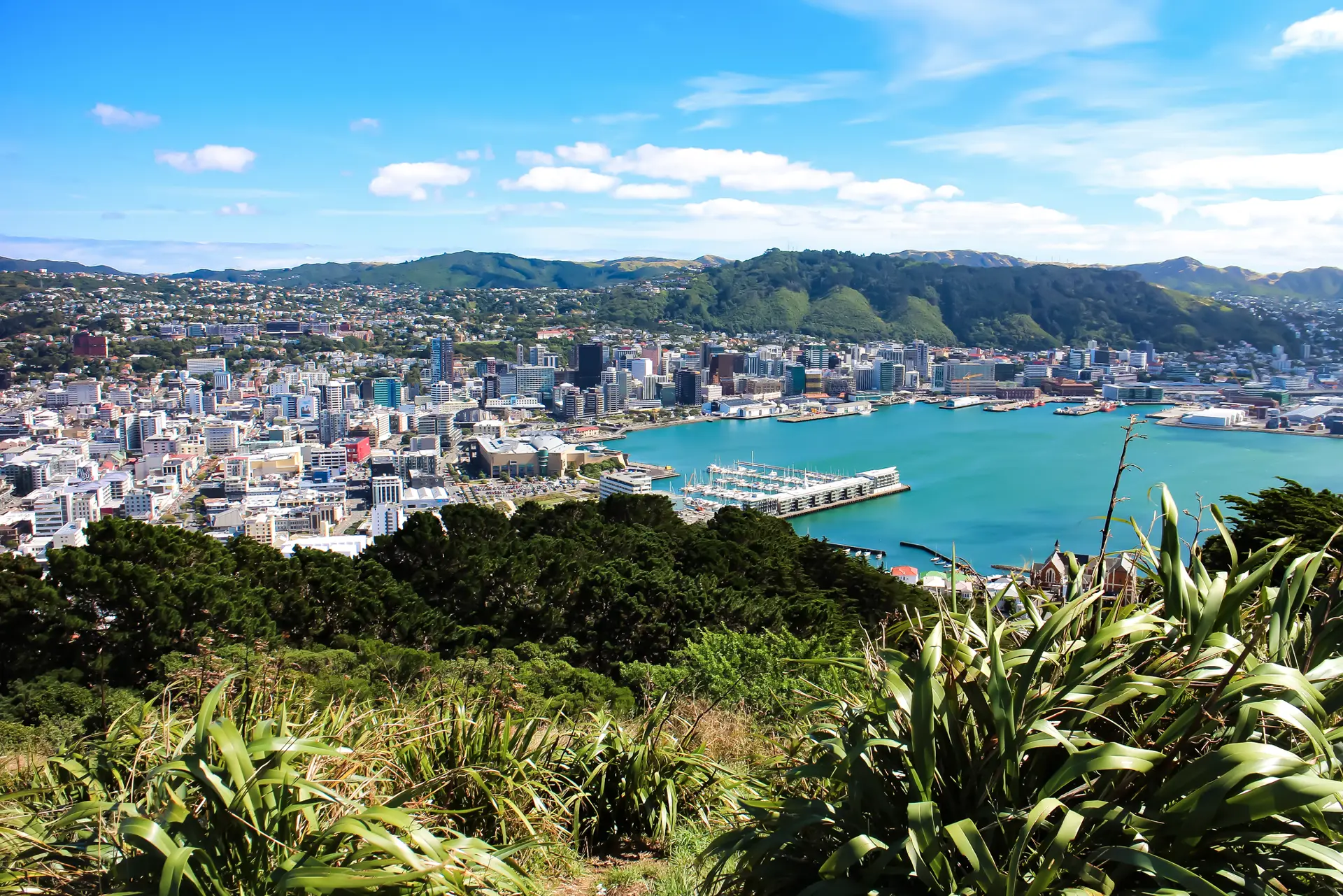 Wellington, Neuseeland Nordinsel Bucht und Stadtbild von Wellington vom Mount Victoria aus gesehen. Wellington, Neuseeland Nordinsel.