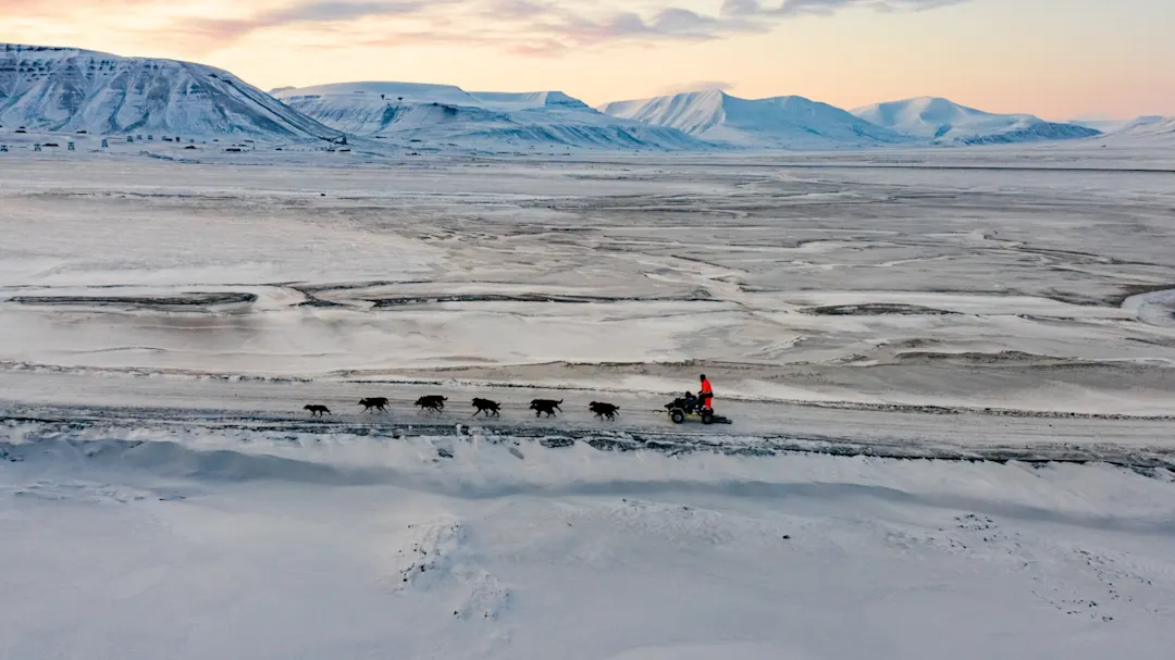 Hundeschlitten von oben gesehen in einer Schnee- und Berglandschaft bei Sonnenuntergang 