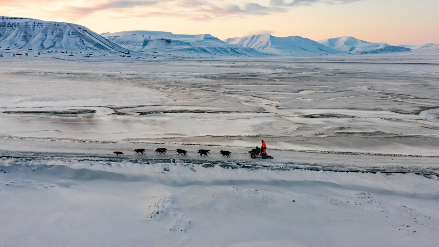 Hundeschlitten von oben gesehen in einer Schnee- und Berglandschaft bei Sonnenuntergang 