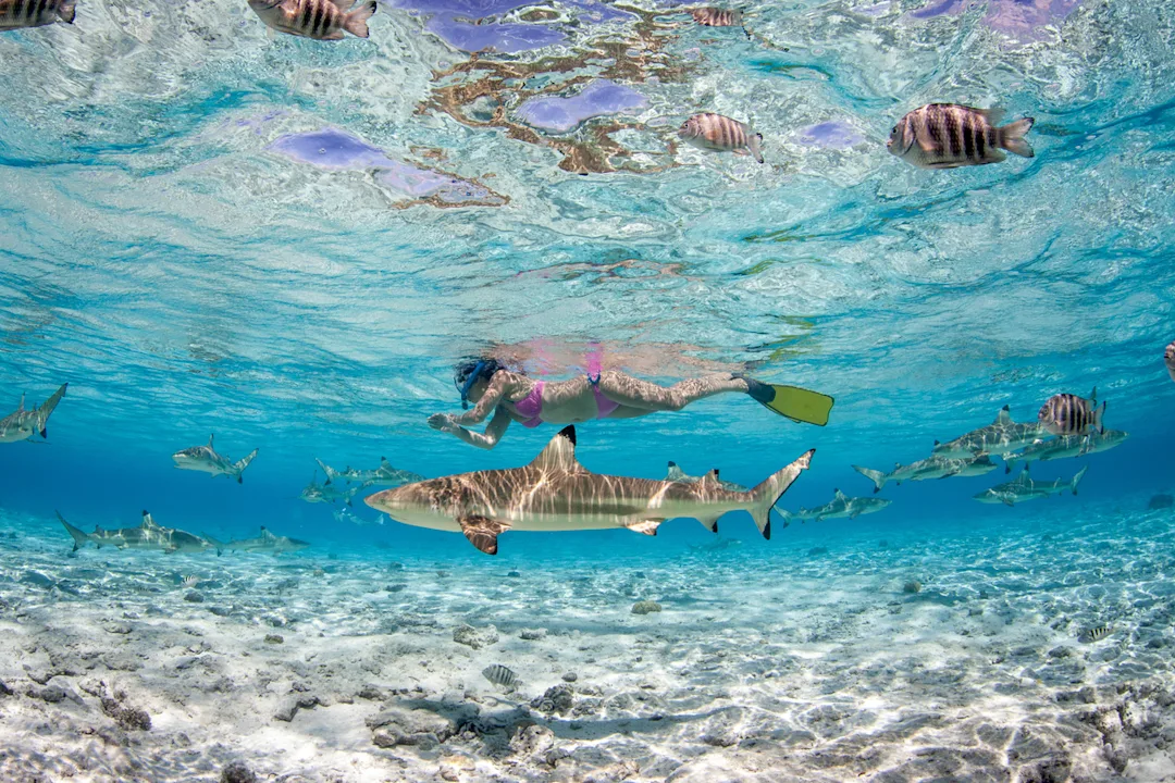 Farbenfrohe Bora Bora Reise