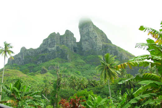 Bergspitze des Mount Otemanu mit üppiger Vegetation im Vordergrund