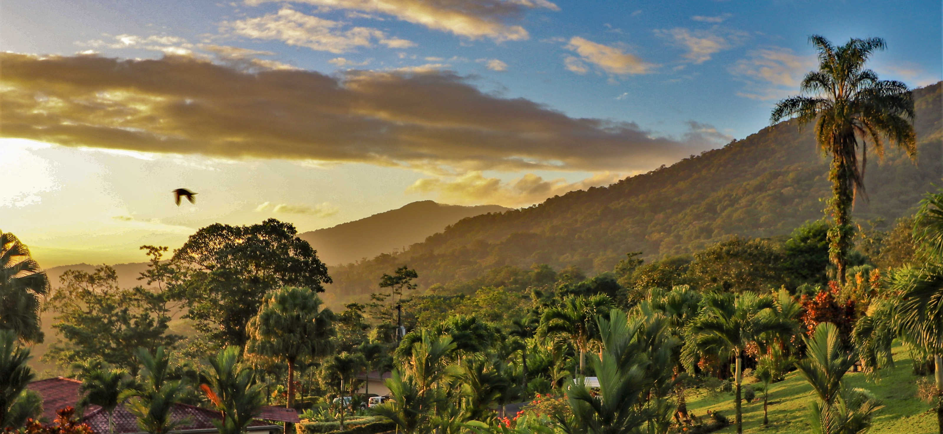 The Best Costa Rica Tours for 2021, Tailor-Made | Tourlane