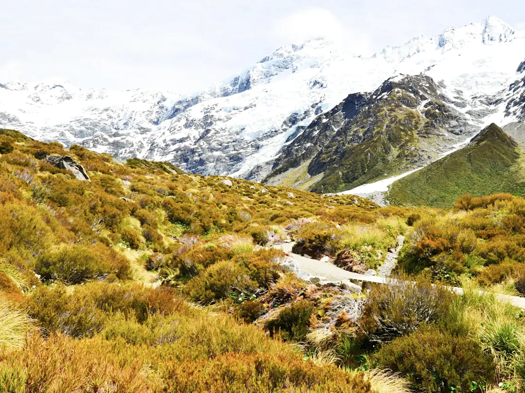 Wanderweg mit Blick auf schneebedeckte Berge. Aoraki/Mount Cook, Canterbury, Neuseeland.
