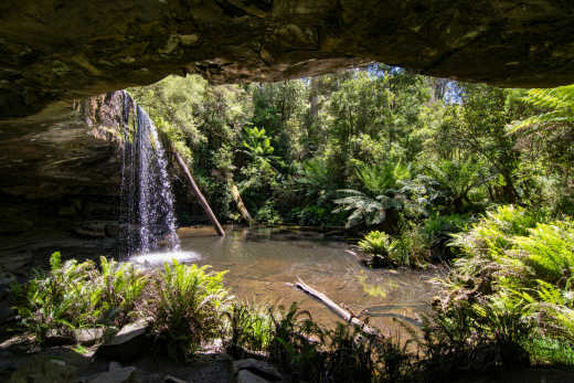 Explorez le parc national de Great Otway pendant votre road trip sur la Great Ocean Road.