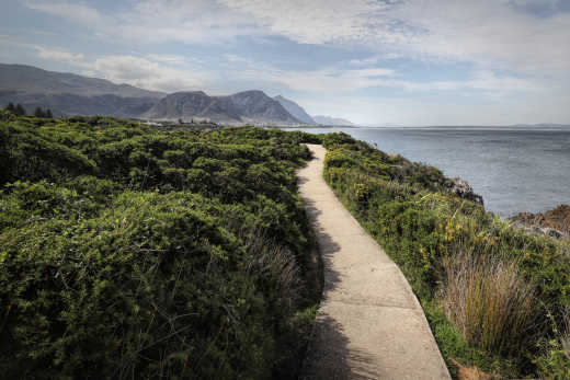 Le paysage côtier à Hermanus, Afrique du Sud.