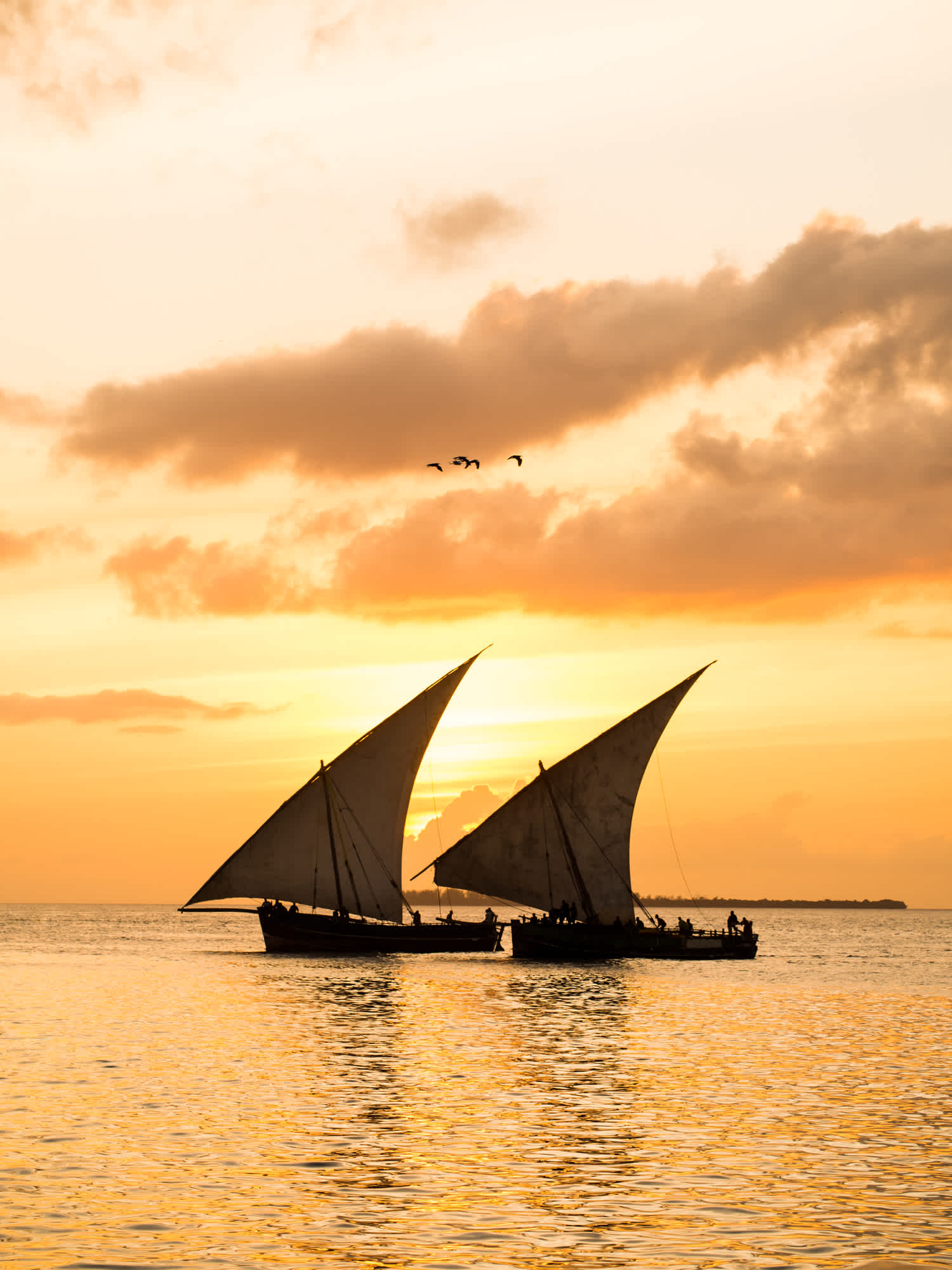 Deux dhow en croisière au soleil couchant à Zanzibar, Tanzanie