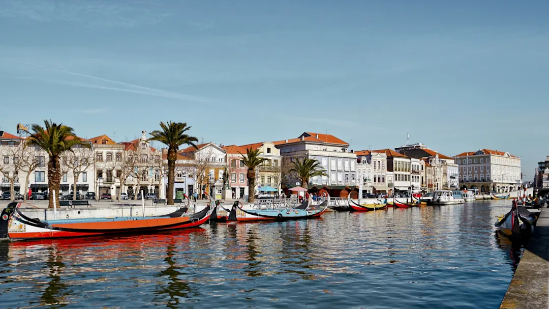 Bunte Boote am Kanal mit Palmengärten und historischen Gebäuden in Aveiro, Portugal.
