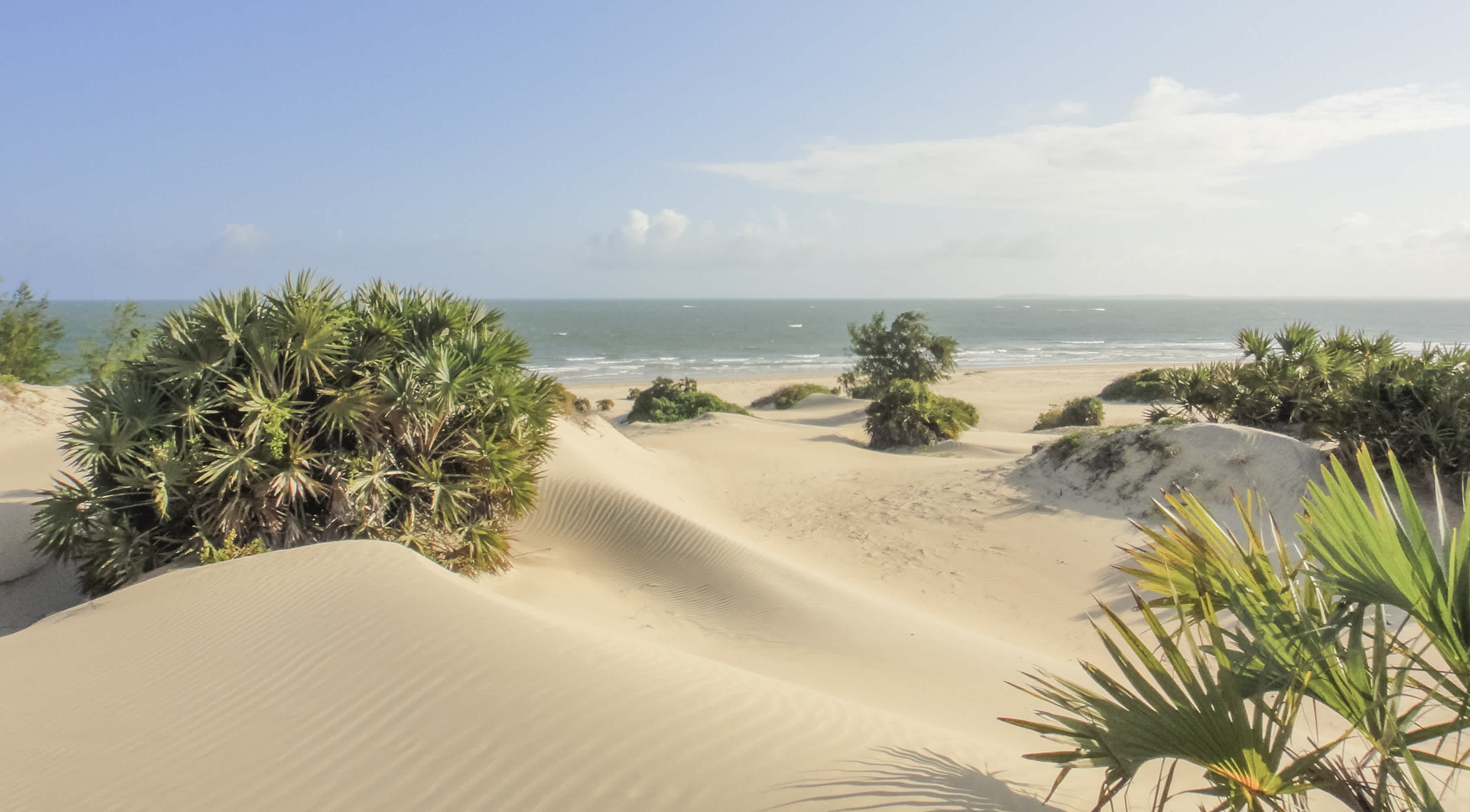 Plage de Shela sur l'île de Lamu, Kenya