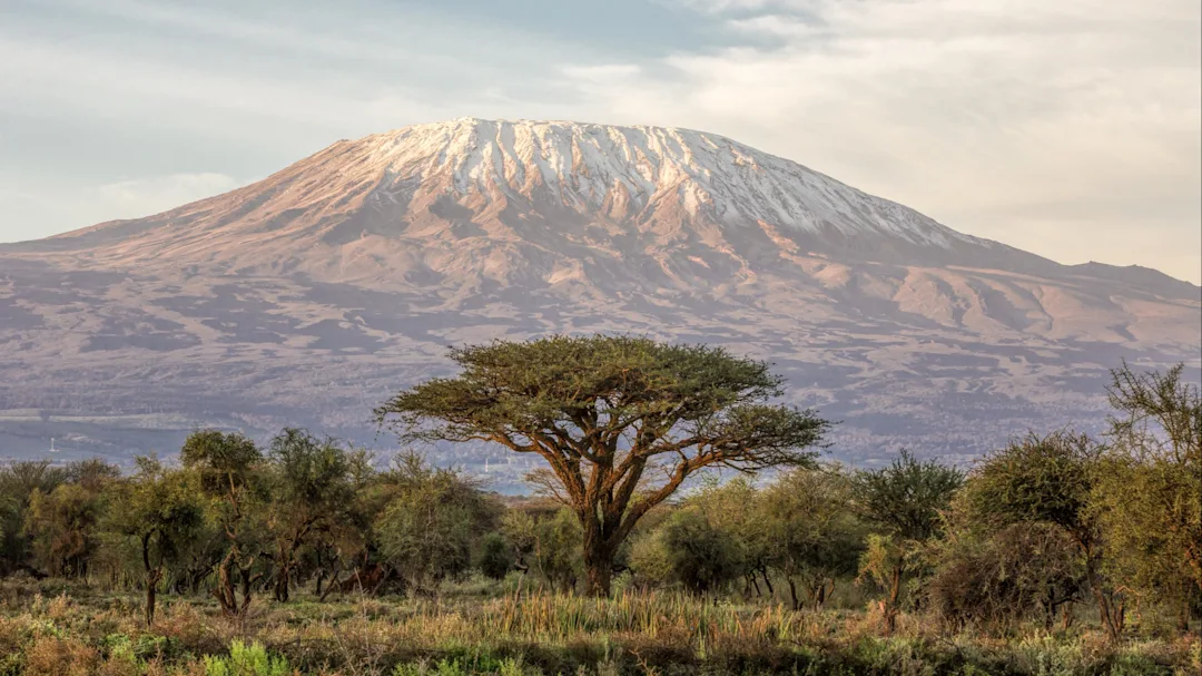 Ascension du Kilimandjaro