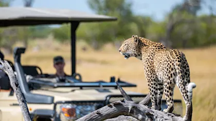 Circuit Afrique du Sud, Namibie et Botswana - Image 1