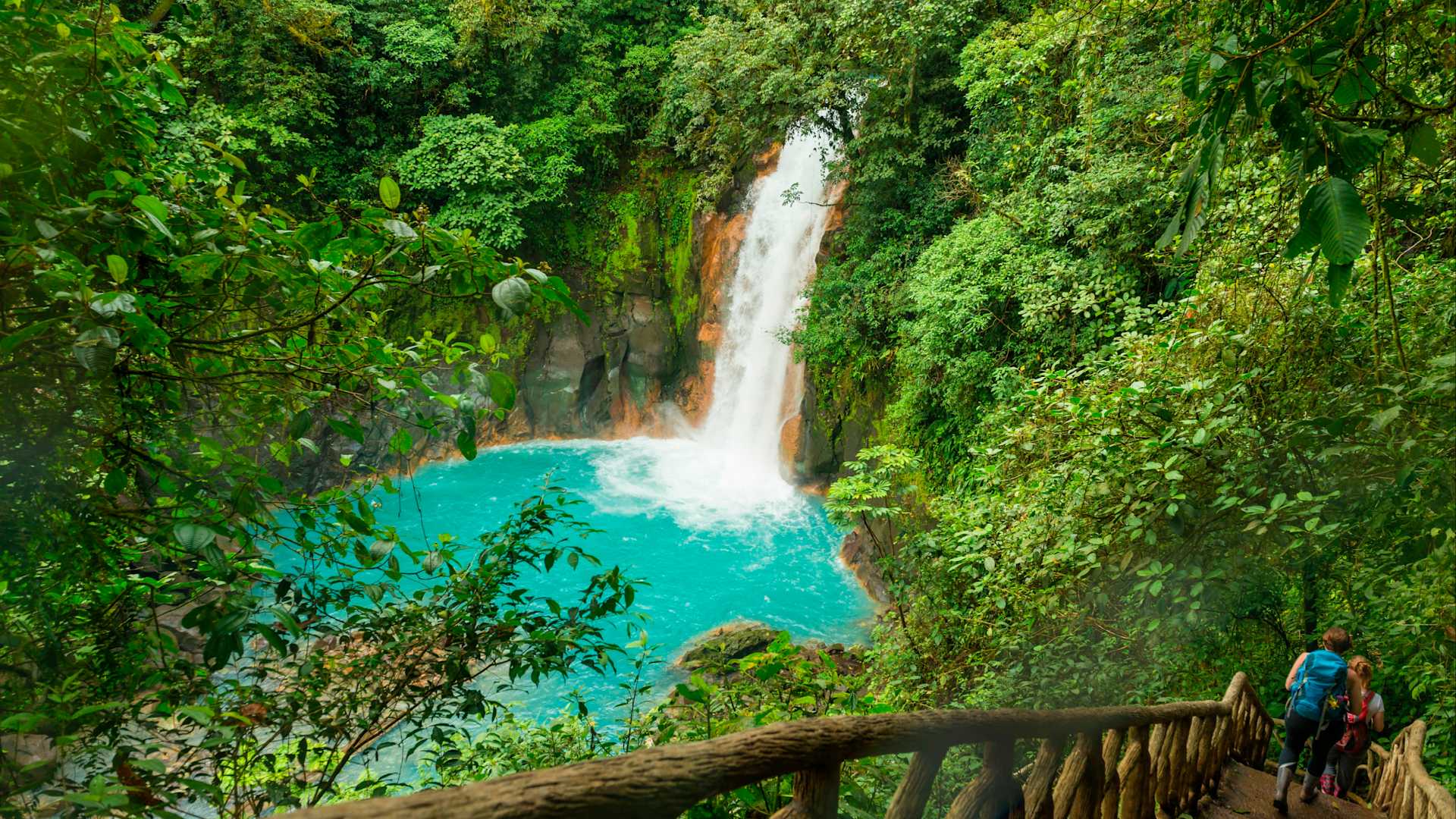 Costa Rica Jungle Safari: Groepsreis | Tourlane