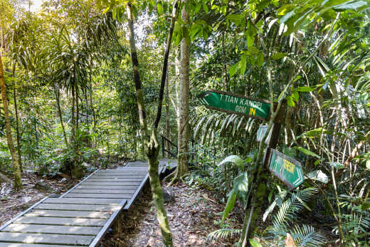 Wegweiser des Bukit Teresek Weges im Taman Negara Nationalpark, Malaysia.