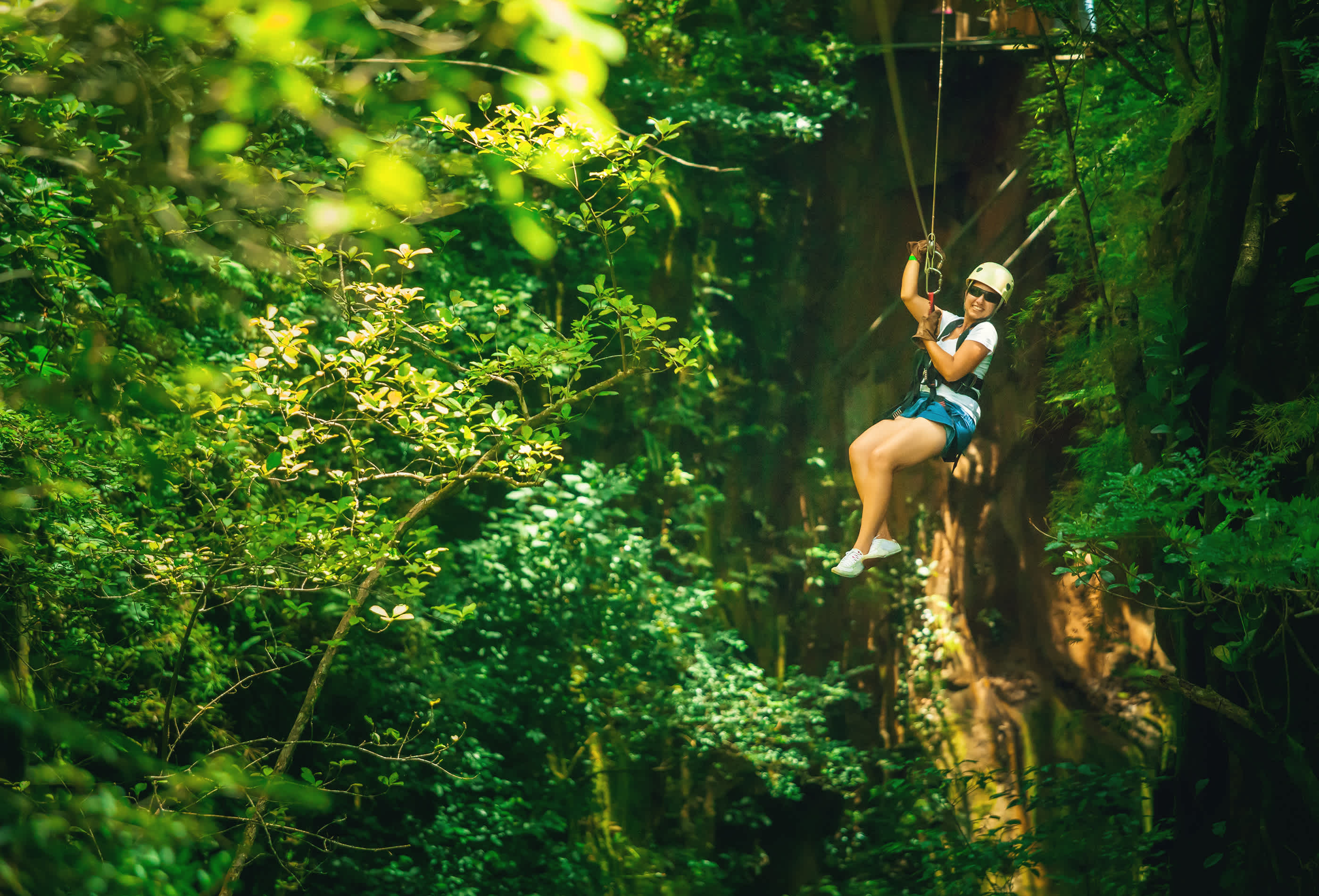 Eine Frau die beim Ziplining im Monteverde Regenwald von Costa Rica von einem Baum zum anderen schwingt. 
