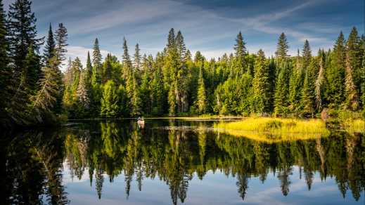 Kanufahren an einem See im Algonquin Provoncial Park, Ontario, Kanada.  