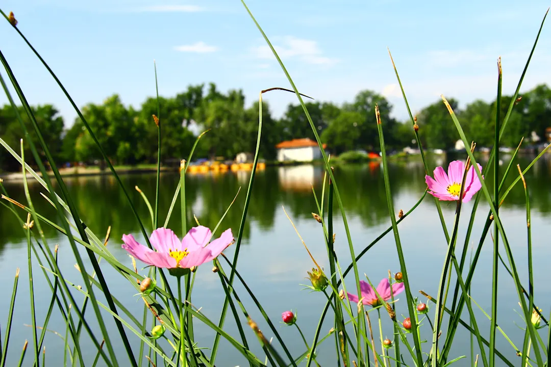 Smith Lake Reflexionen in Washington Park in Denver Colorado