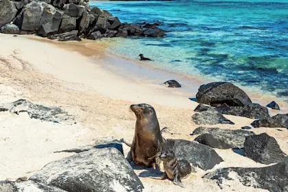 Naturwunder pur: Peru, Ecuador & Galapagos - Image 1