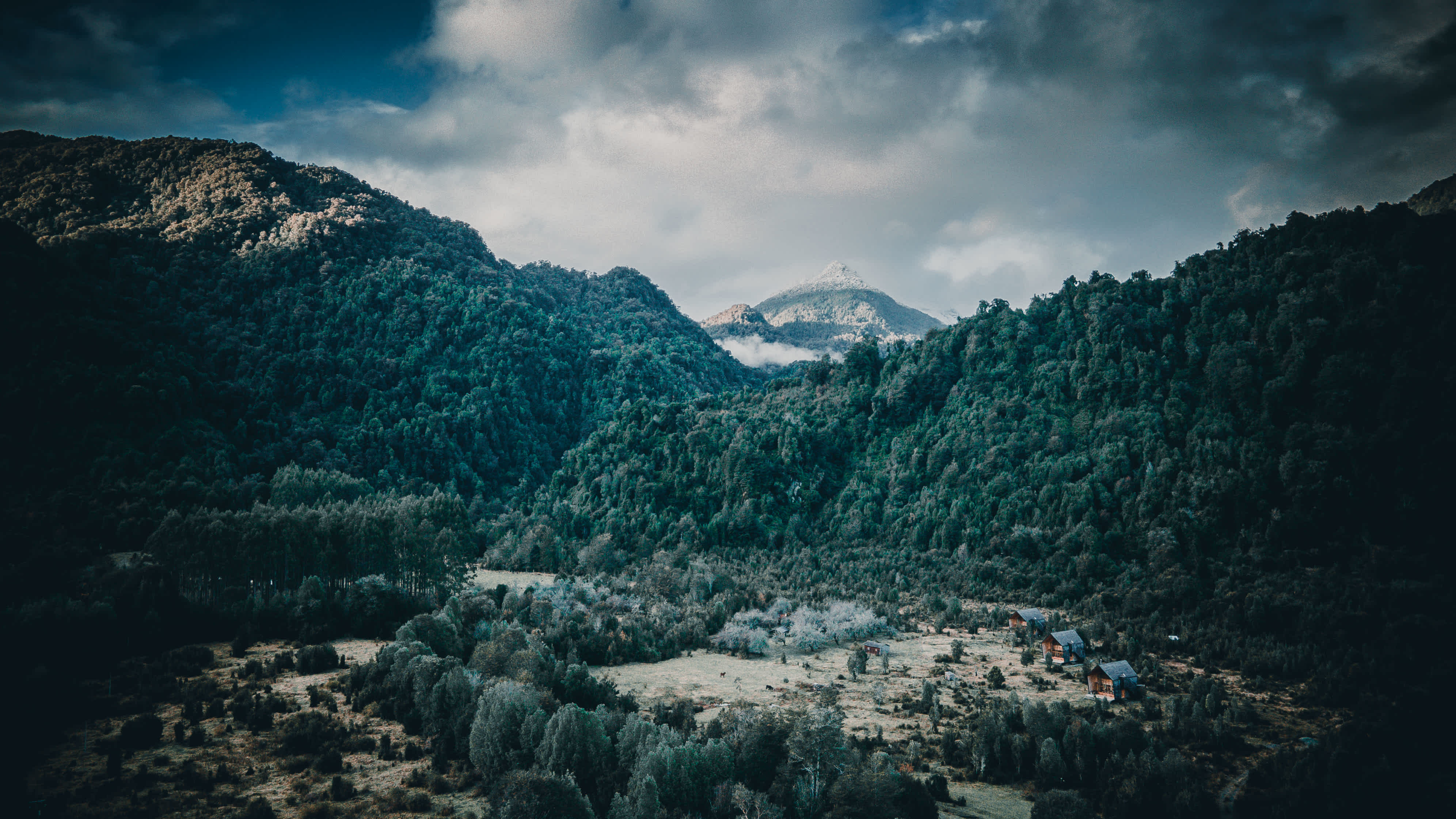 Hornopirén-Nationalpark in Chile.
