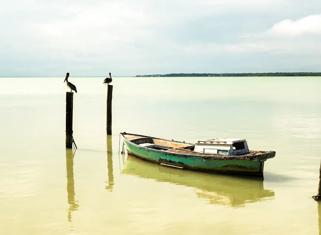 Altes Boot und Pelikane in ruhigem Wasser. Holbox, Quintana Roo, Mexiko.
