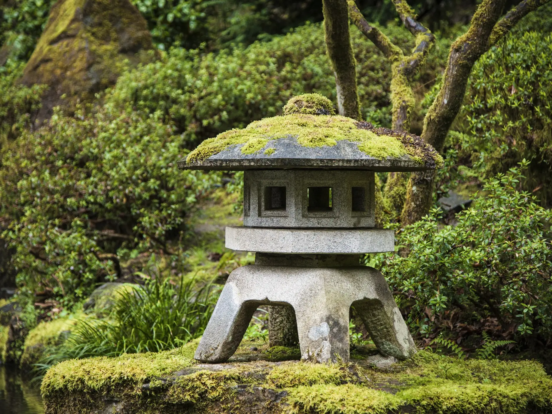 Japanische Steinlaterne mit Moos bedeckt in einem grünen Garten. Portland, Oregon, Vereinigte Staaten.