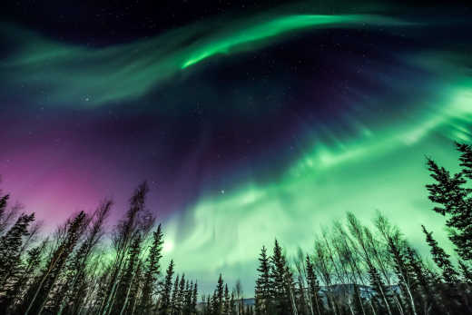 Admirez les aurores boréales à Fairbanks pendant votre road trip en Alaska.