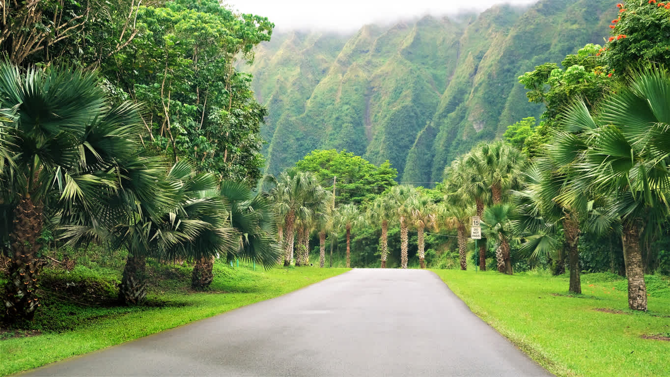 Visitez les magnifiques jardins botaniques d'Hoomaluhia pendant votre voyage à Hawaï.
