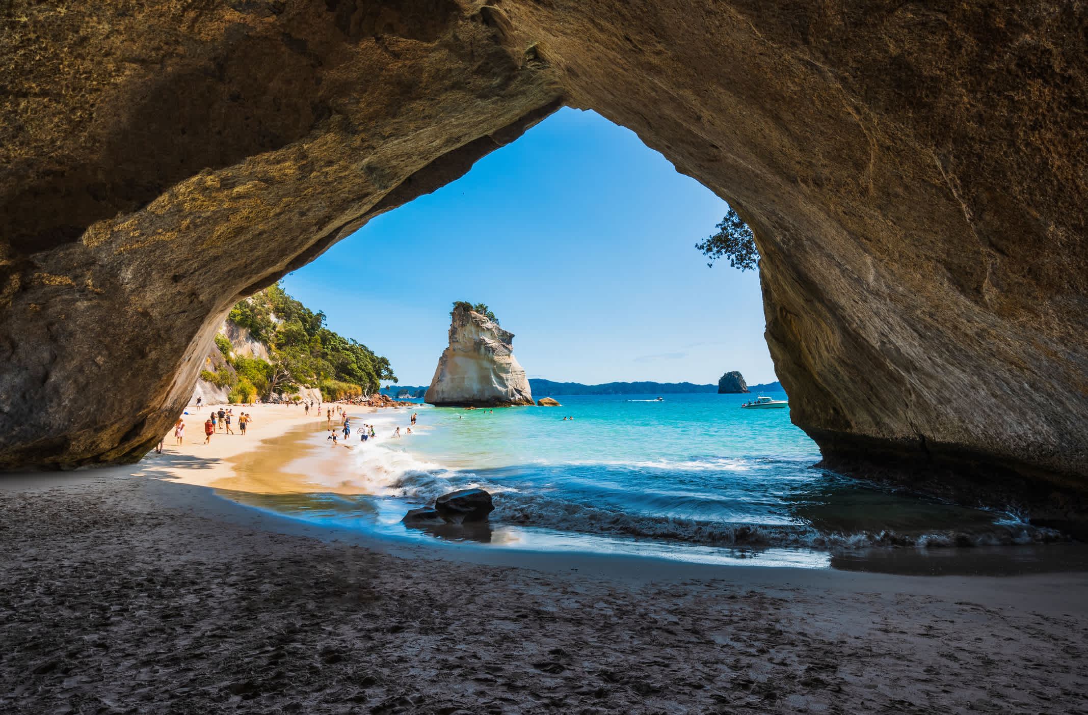 Vue sur la mer depuis Cathedral Cove, Nouvelle-Zélande.