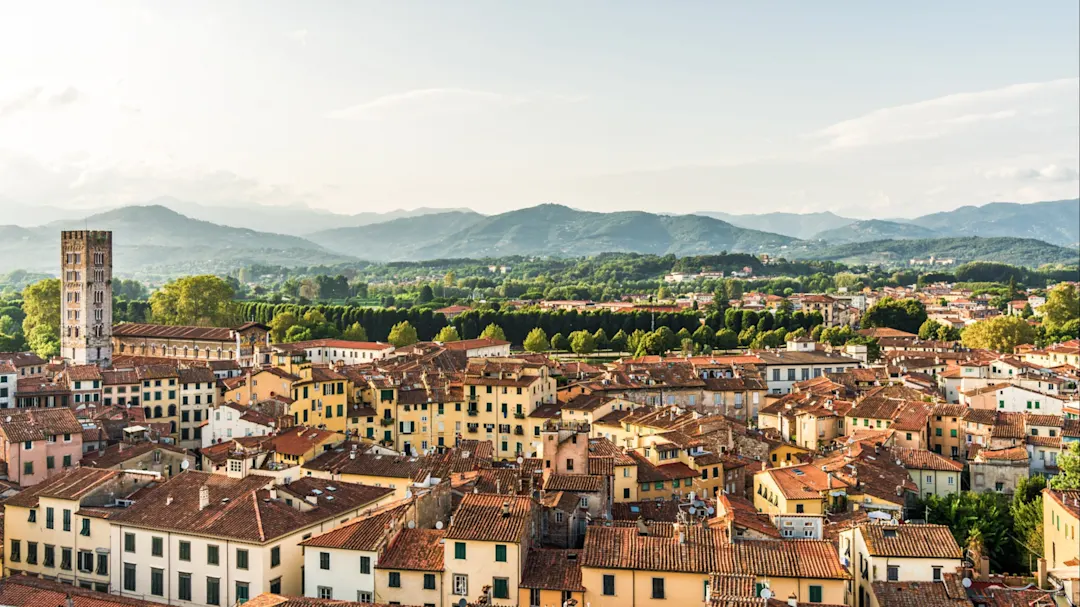 Luftbild von Lucca mit roten Dächern und dem Guinigi-Turm. Lucca, Toskana, Italien.
