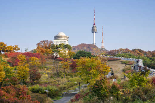 Der große N Seoul Tower mit Laubbäumen in Herbstfarben im Vordergrund