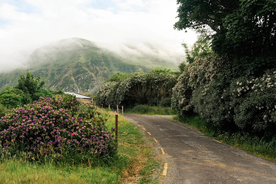 Landschaftlich reizvolle Straße durch das Hinterland im Sommer