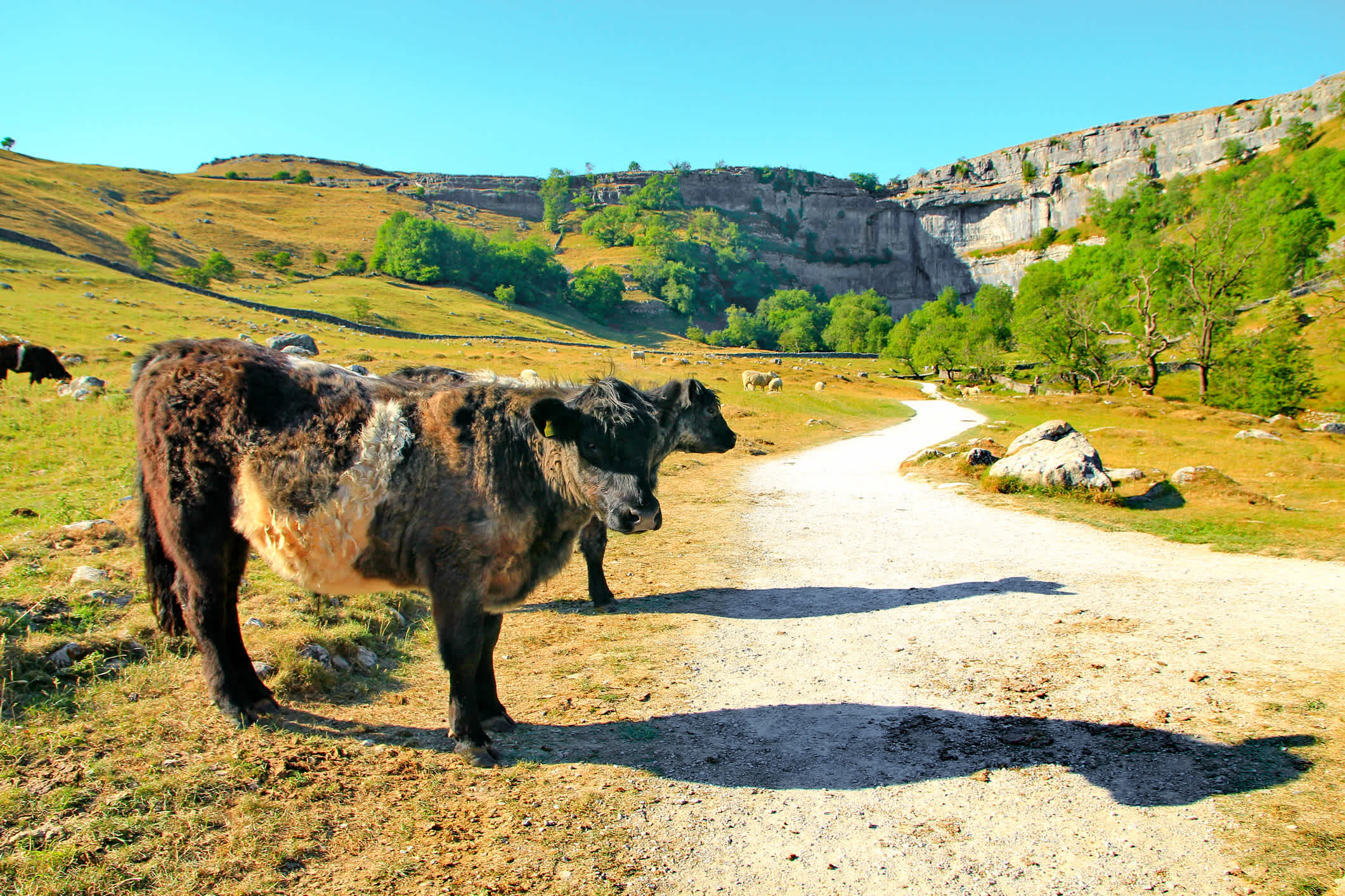 Diese unglaubliche natürliche Aussichtsplattform auf dem Gipfel von Malham Cove in Yorkshire ist die Wanderung dorthin auf jeden Fall wert