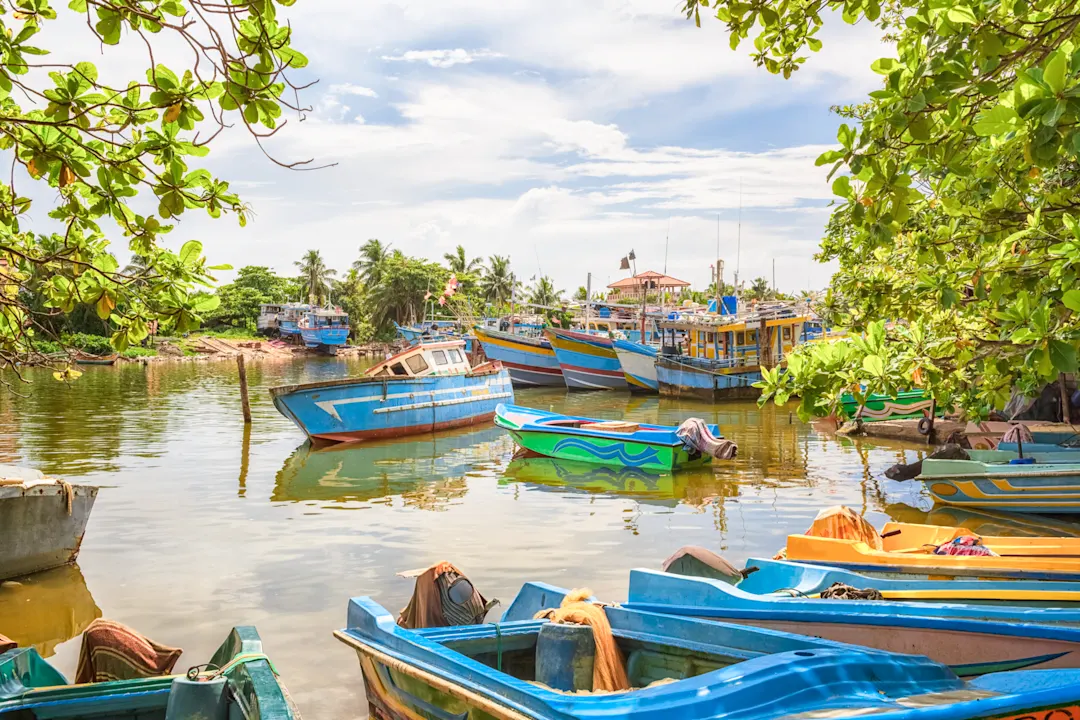 Bemalte Fischerboote im alten Hafen von Negombo in Sri Lanka.