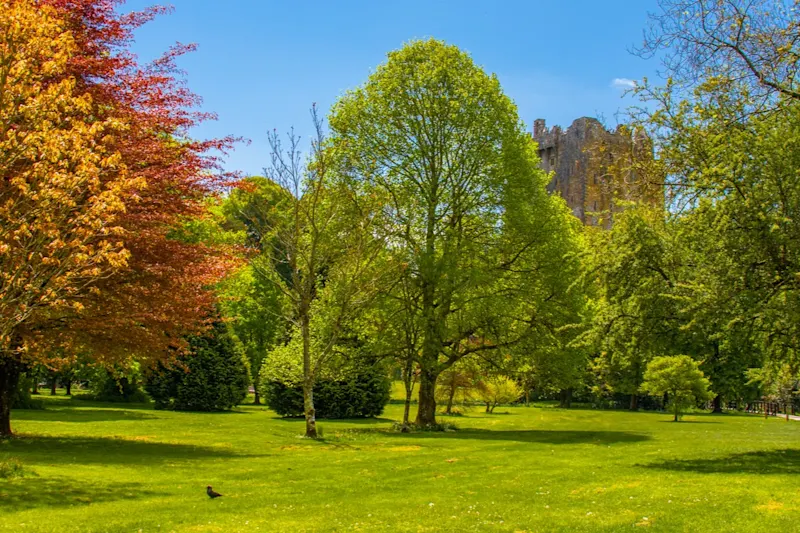 Blick auf den Park und Blarney Schloss in Cork, Irland. 

